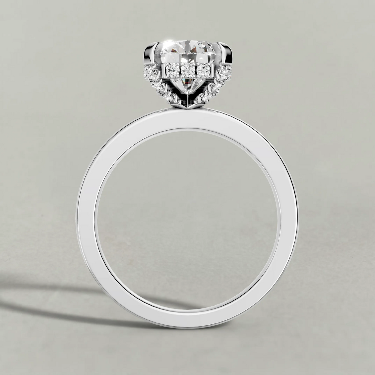 Diamond Gallery Solitaire Engagement Ring (71380) in Platinum from front angle