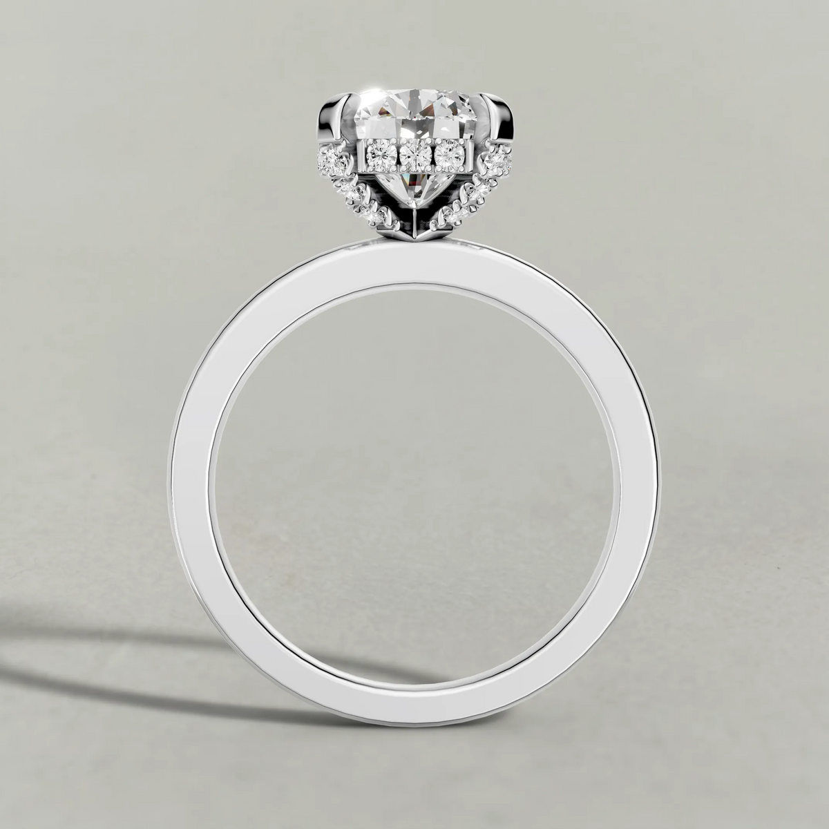 Diamond Gallery Solitaire Engagement Ring (71380) in White Gold from front angle
