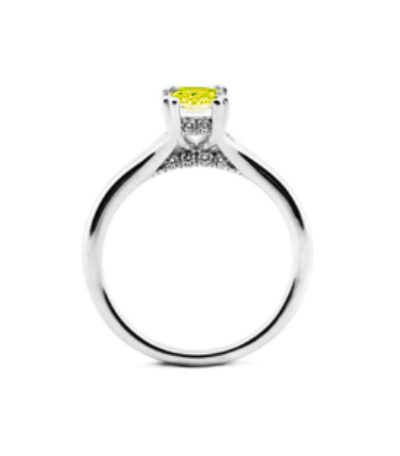 Yellow Ring1 Yellow Ring1